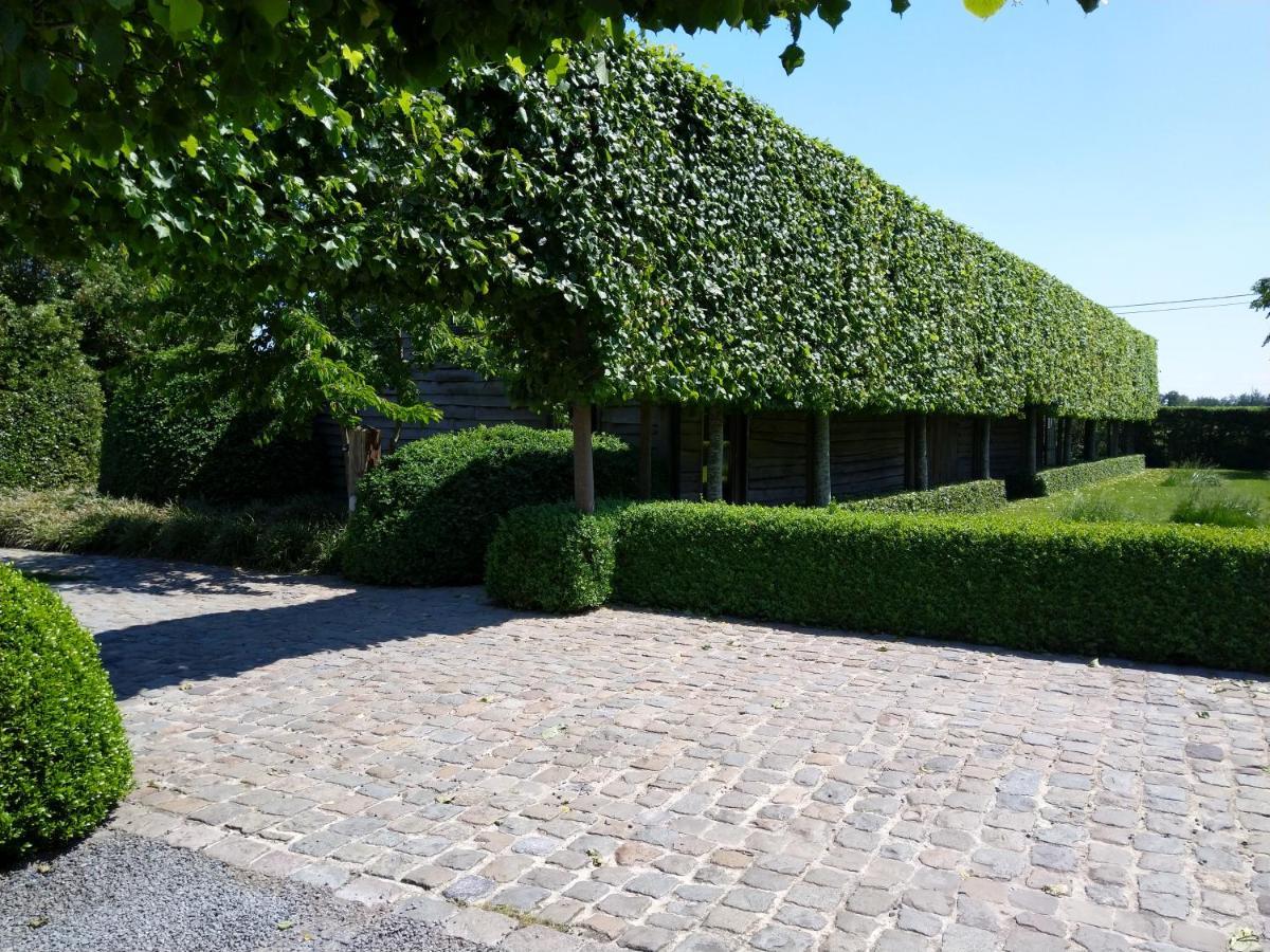 B&B De Hulst Izegem Exteriér fotografie