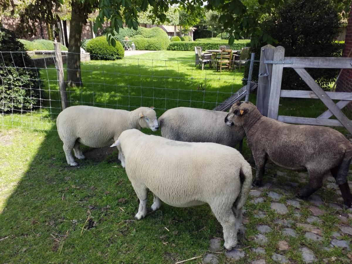 B&B De Hulst Izegem Exteriér fotografie