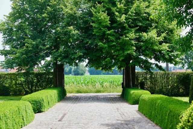 B&B De Hulst Izegem Exteriér fotografie