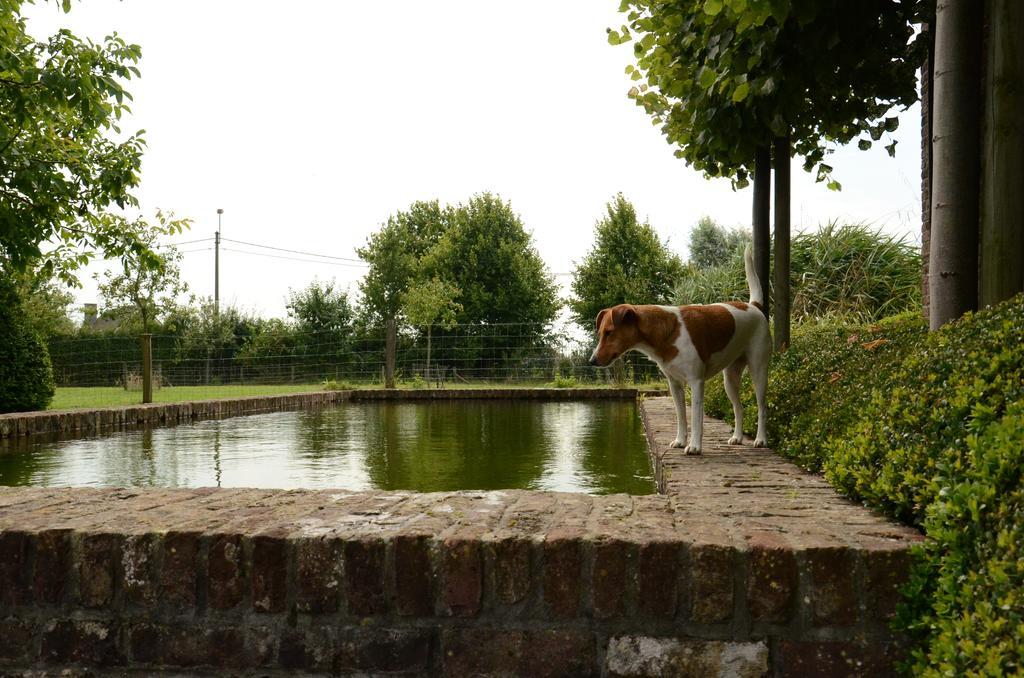 B&B De Hulst Izegem Exteriér fotografie
